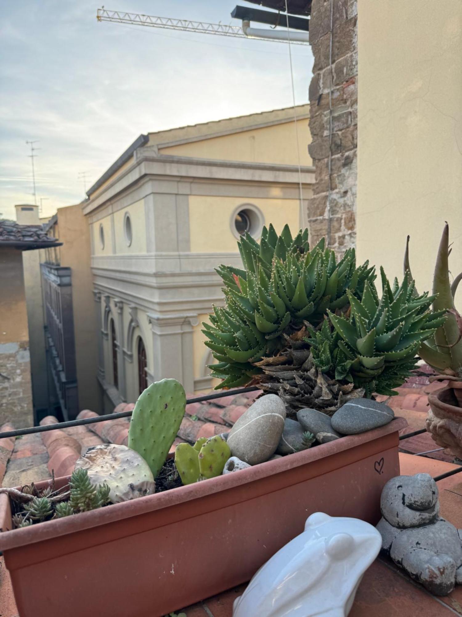 Firenze Panorama Suite & Terrace Zewnętrze zdjęcie